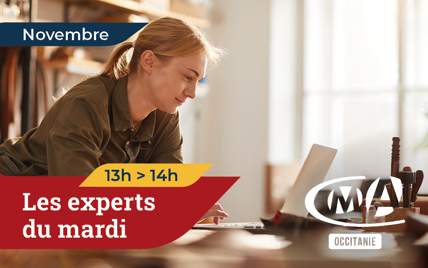 Webinaires novembre 2024 : les experts du mardi